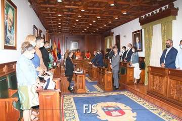 Lara Collado retrata en el Pleno de Telde la realidad de la lacra machista/Francisco Javier Santana: